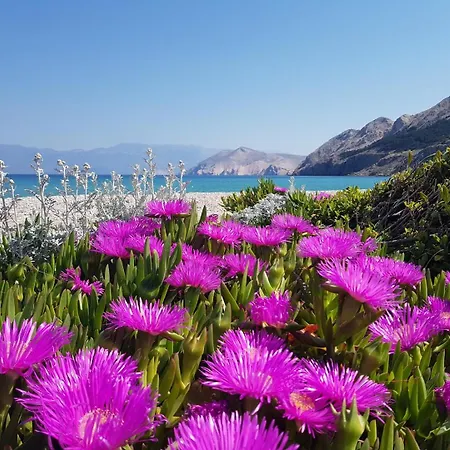 Miculinic Apartment *