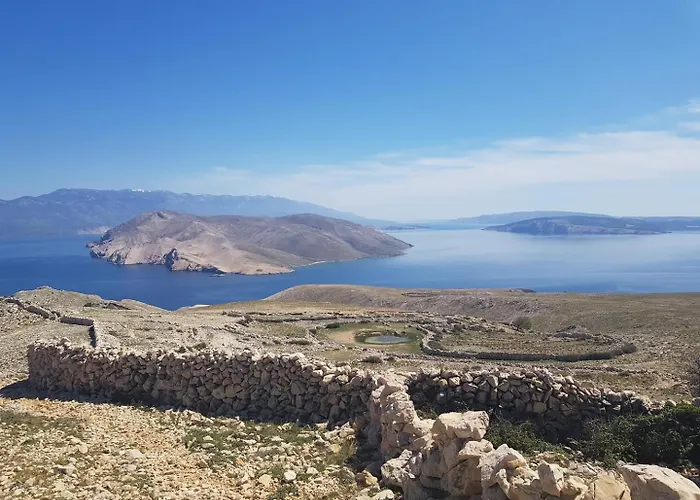 Apartament Miculinic *