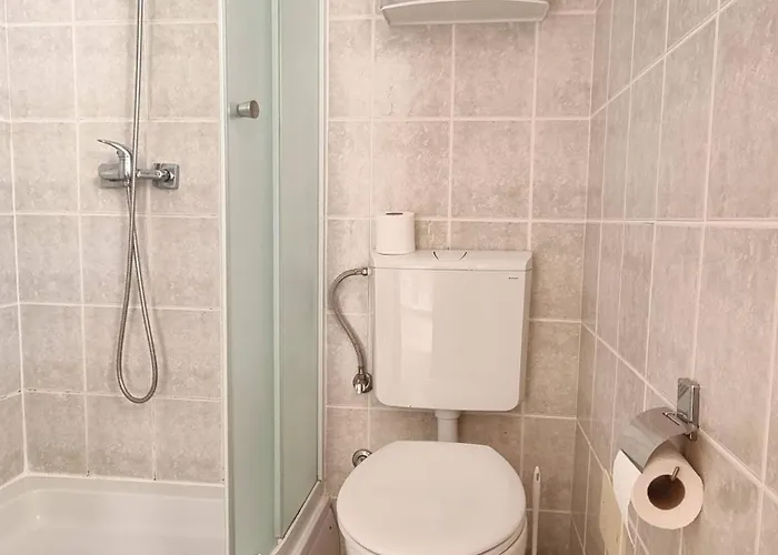 Apartament Miculinic *